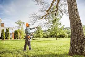 Best Utility Line Clearance  in Brookside Village, TX